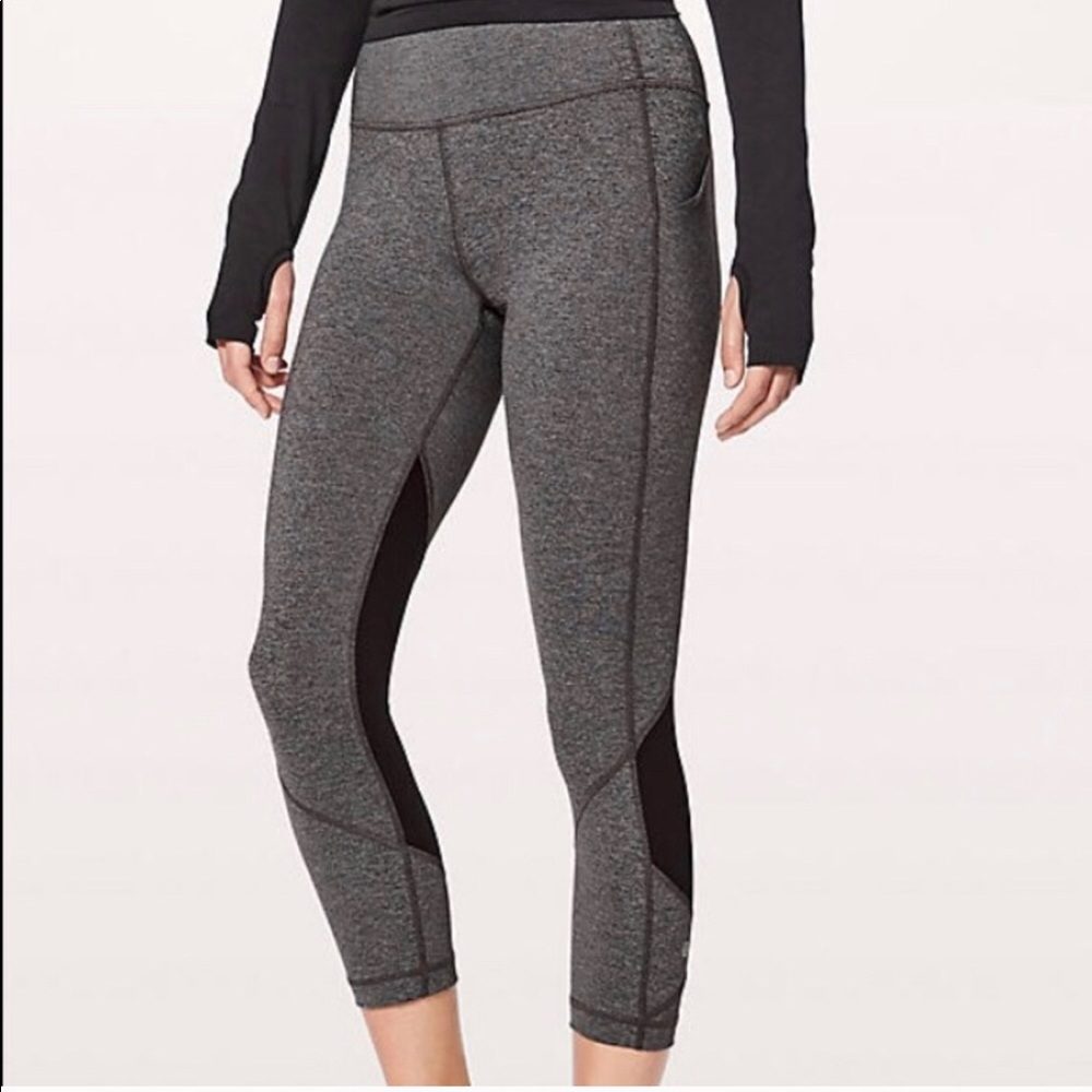 Lulu pace rival crop